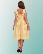Banned Eliza Gingham Swing Dress