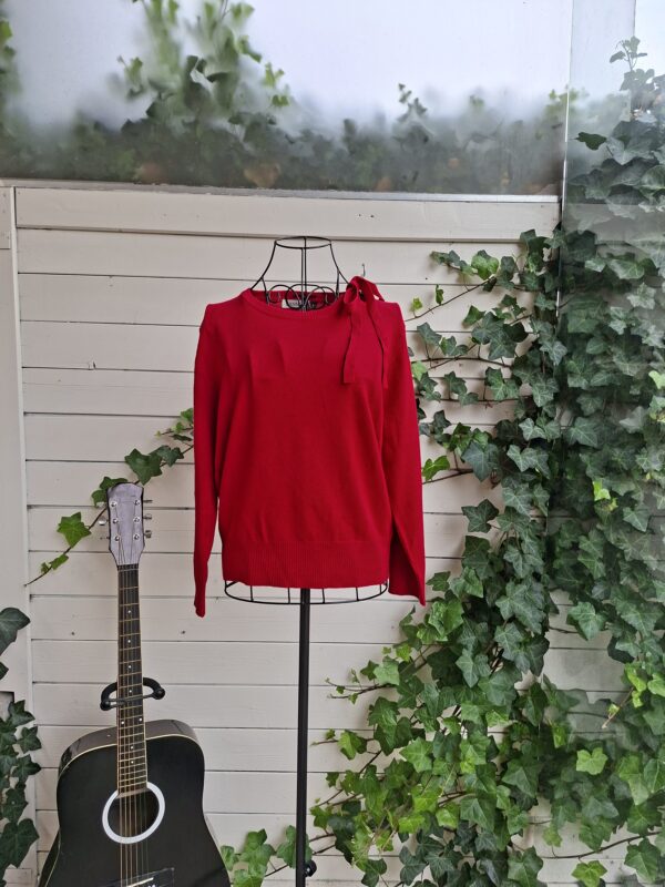 Banned Bella Bow Jumper ❤️